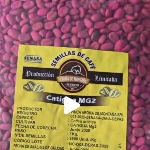 SEMILLAS DE CATIGUA MG1