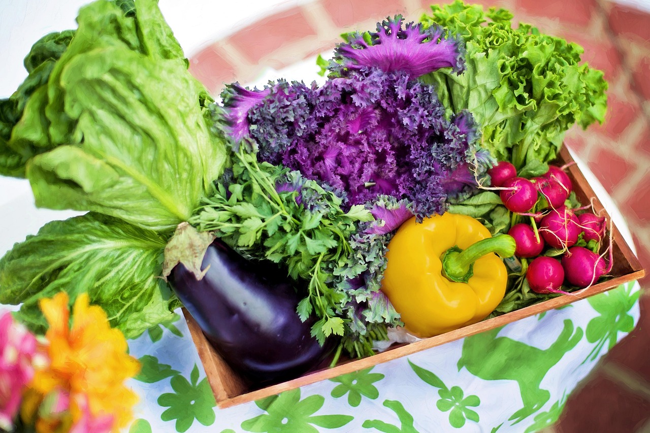 vegetables, garden, harvest, organic, gardening, lettuce, nutrition, produce, fresh, fresh vegetables, nature, assorted, garden vegetables, healthy