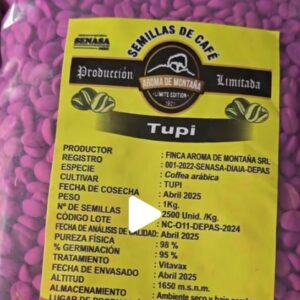 SEMILLAS DE TUPI